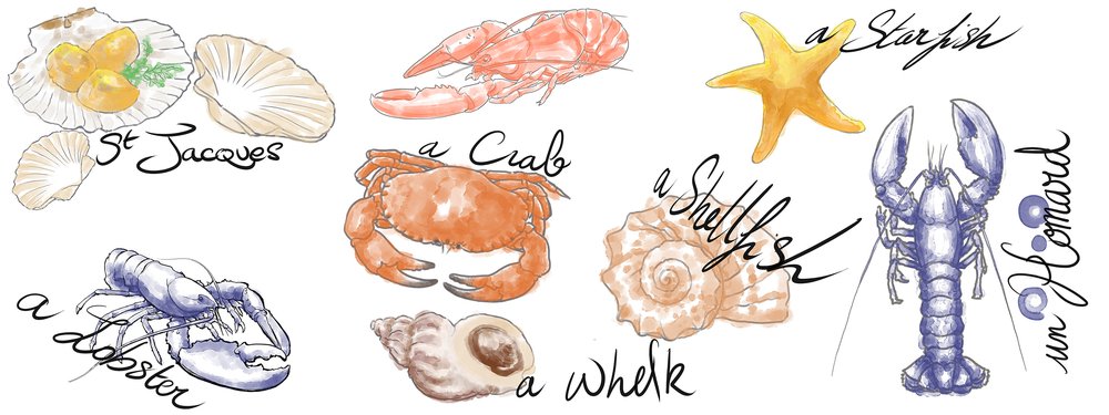 Papier peint Les petits habitants du rivage