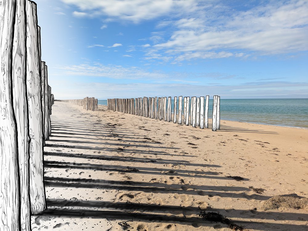 papier peint A la frontière du réel et du dessin