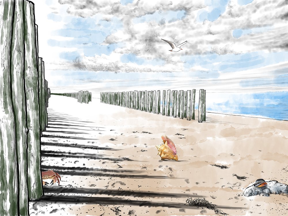 papier peint Souffle d'aquarelle sur la plage