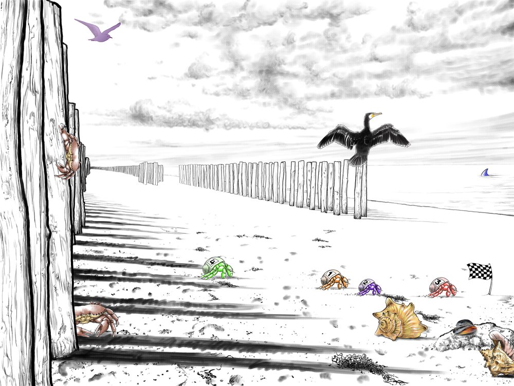 papier peint Vas-y Bernard...A fond les pinces !