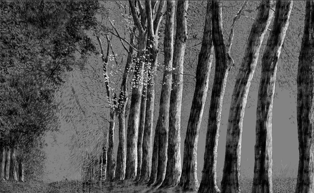 forêt au crayon noir sur gris