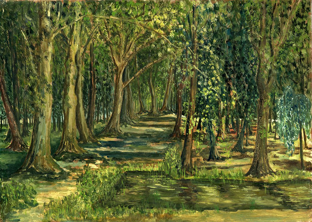 dessin-représentant-un-sous-bois