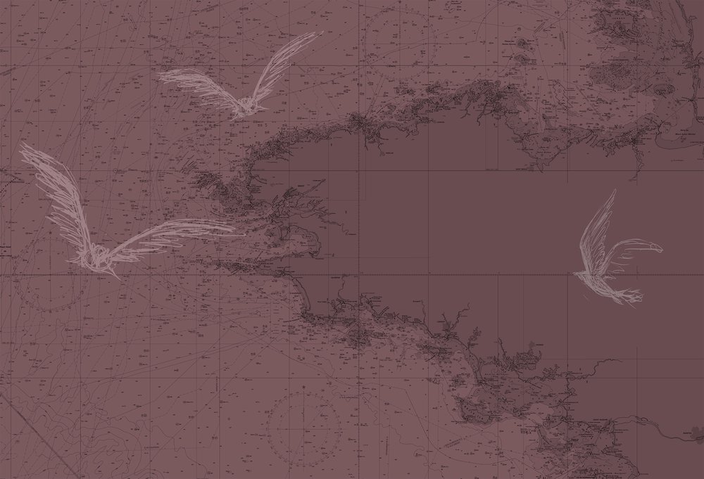 papier peint Carte lie de vin